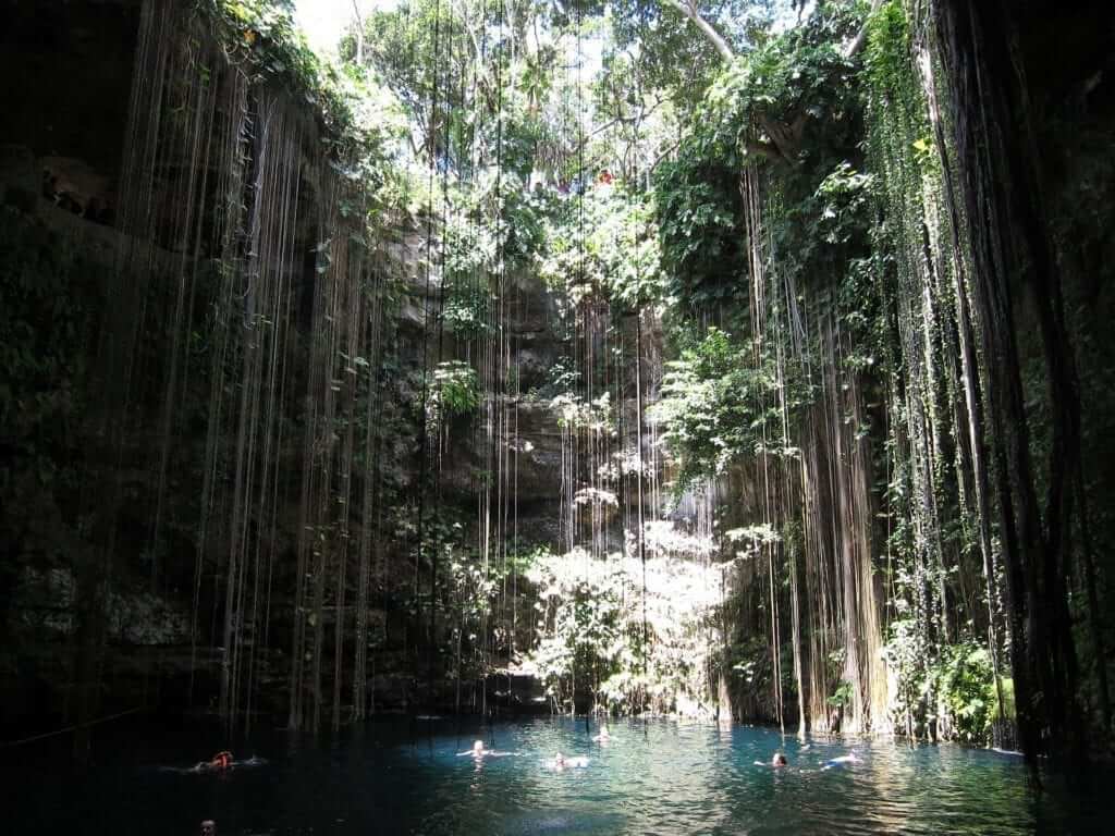 cancun rain forest